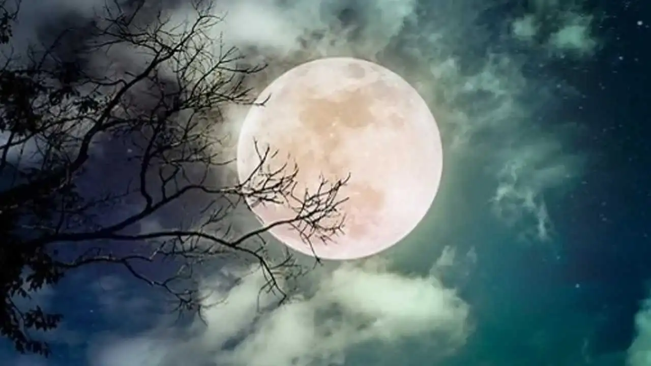 Margashirsha Purnima 2025: साल की आखिरी पूर्णिमा का है बहुत ज्यादा महत्व, जानें चंद्रोदय का समय